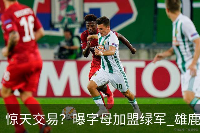 惊天交易？曝字母加盟绿军 雄鹿为布朗寻找第三方