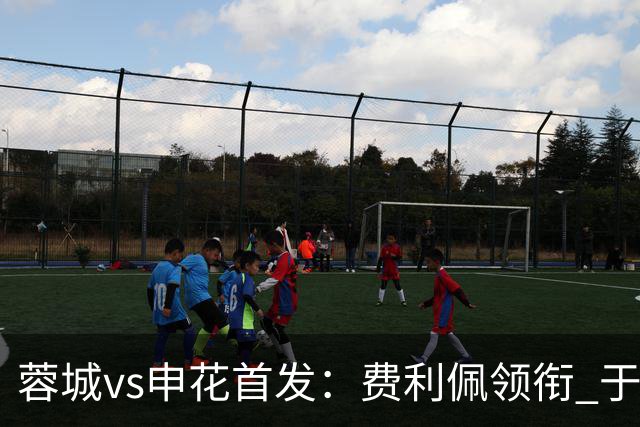 蓉城vs申花首发：费利佩领衔 于汉超、韦世豪替补