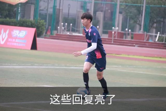 这些回复亮了